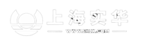 1-2509111010233V
